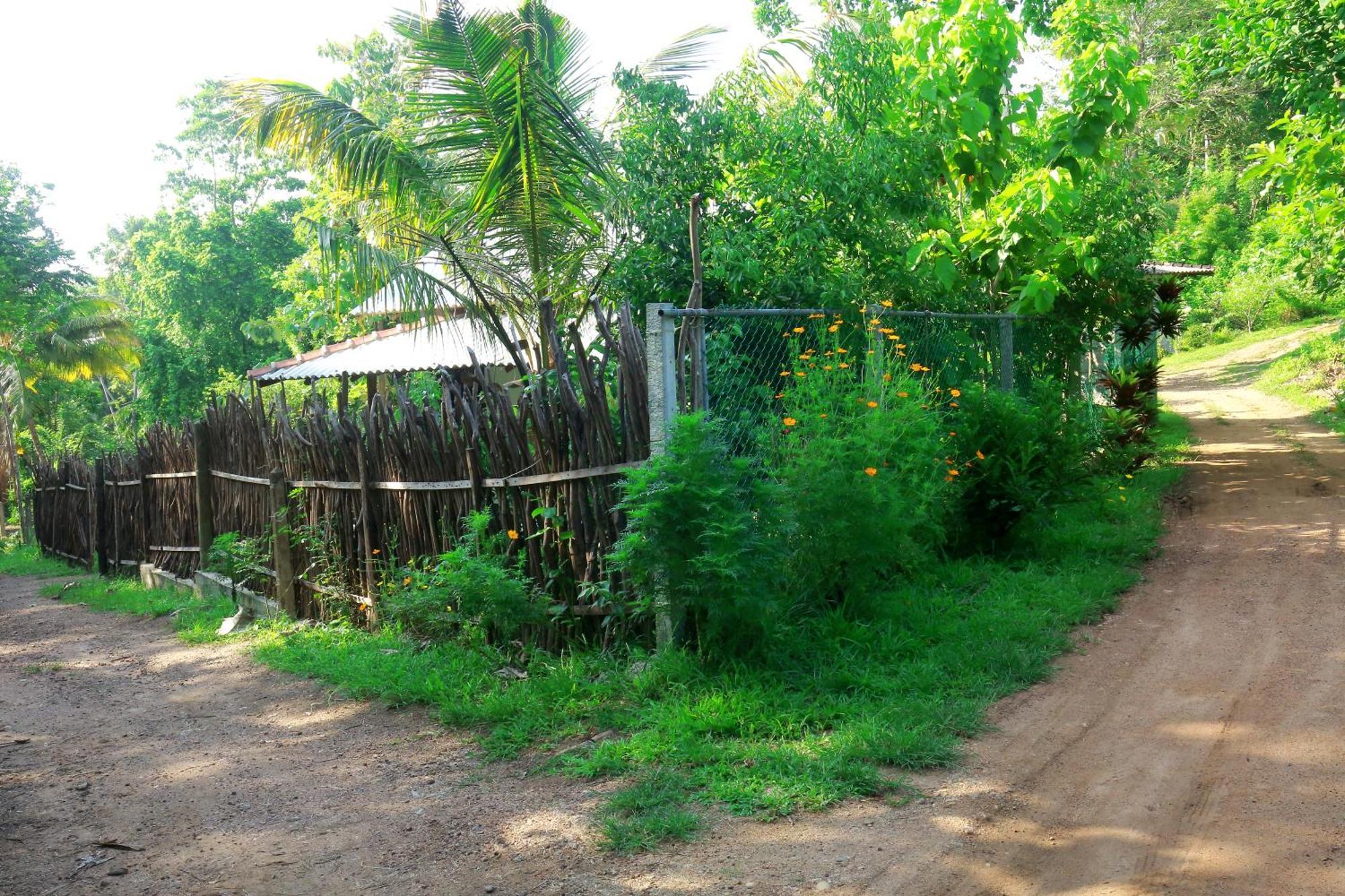 Hiriketiya Don Simon Villa Dikwella Ngoại thất bức ảnh