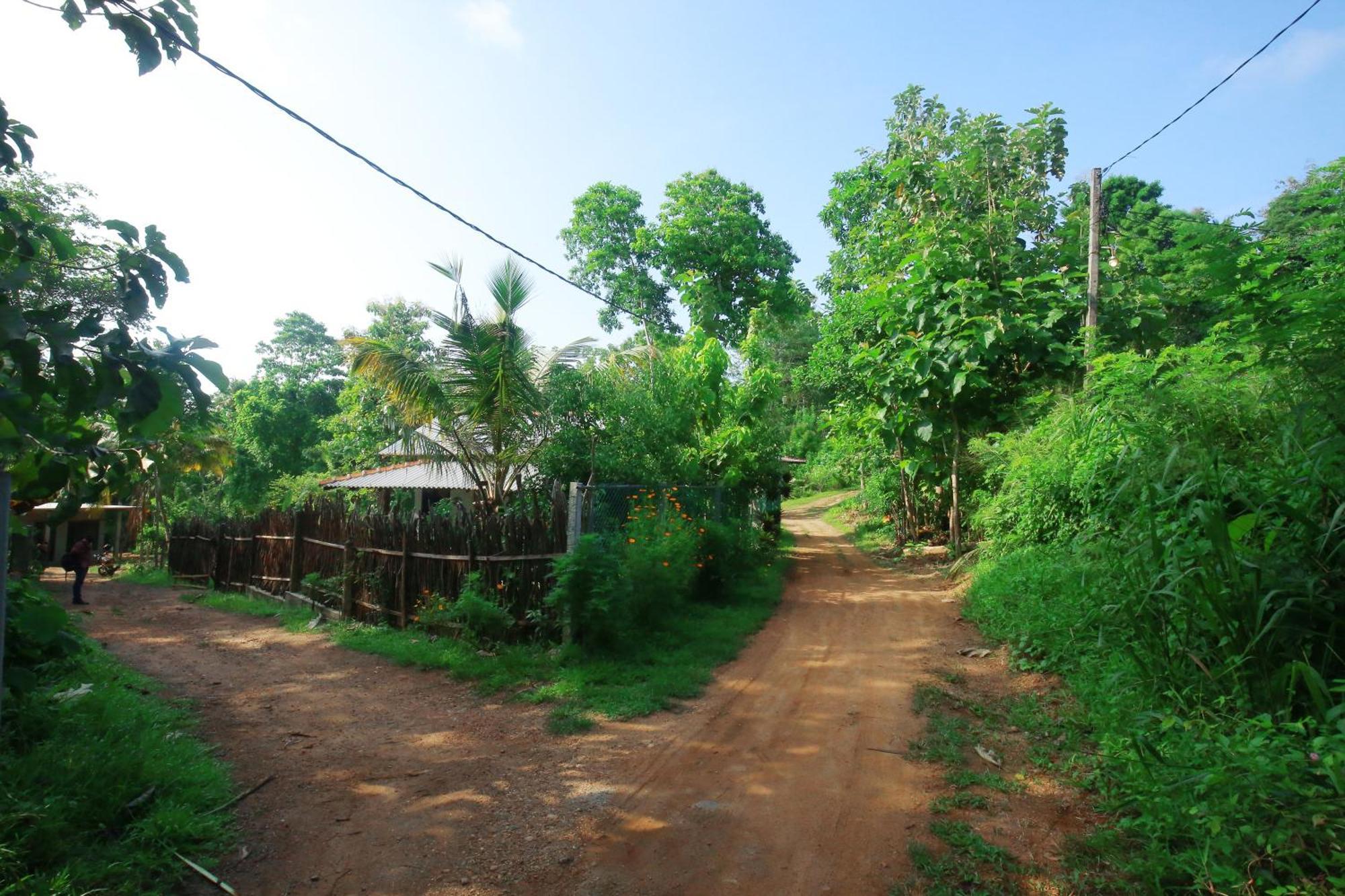 Hiriketiya Don Simon Villa Dikwella Ngoại thất bức ảnh
