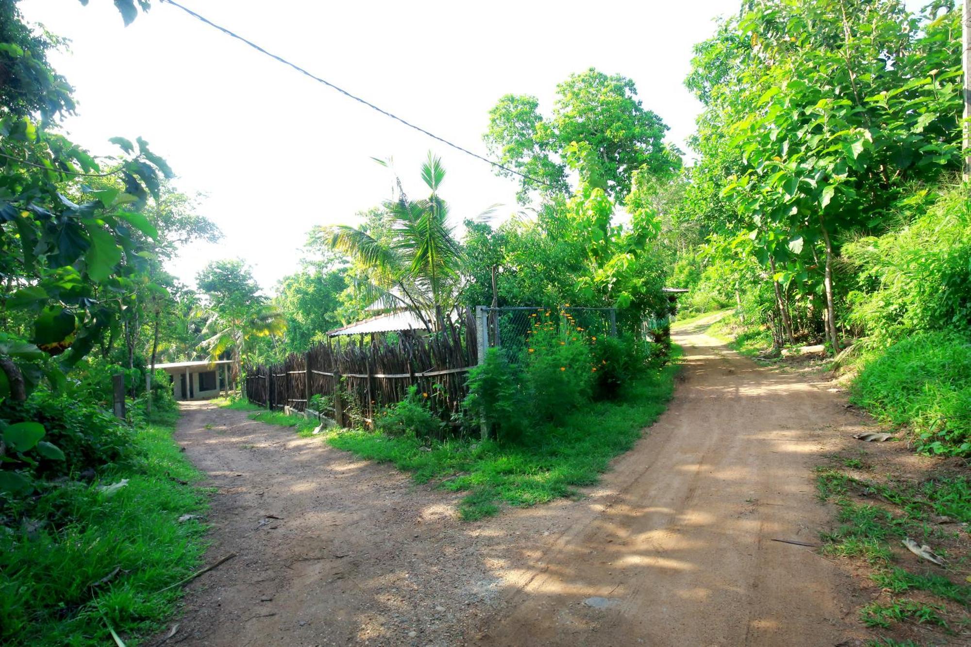 Hiriketiya Don Simon Villa Dikwella Ngoại thất bức ảnh